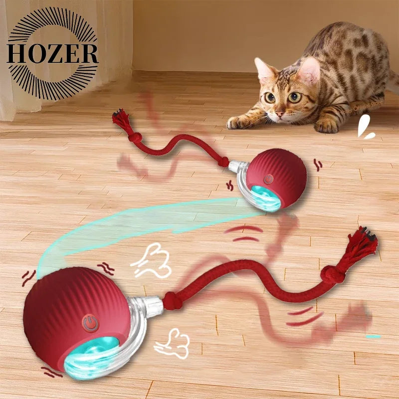 2-Pack Rechargeable Interactive Rolling Cat Ball Toy with Faux Tail — Smart Electric Pet Toy