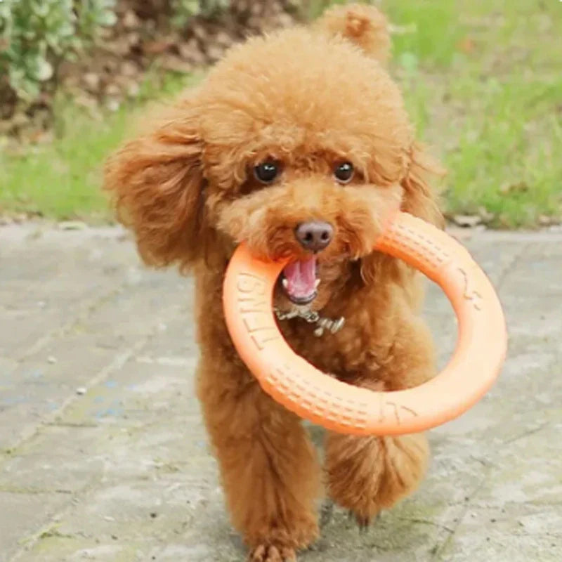 Orange Dog Flying Disc & Training Puller — Durable EVA Chew-Resistant Interactive Toy for Puppies to Large Dogs