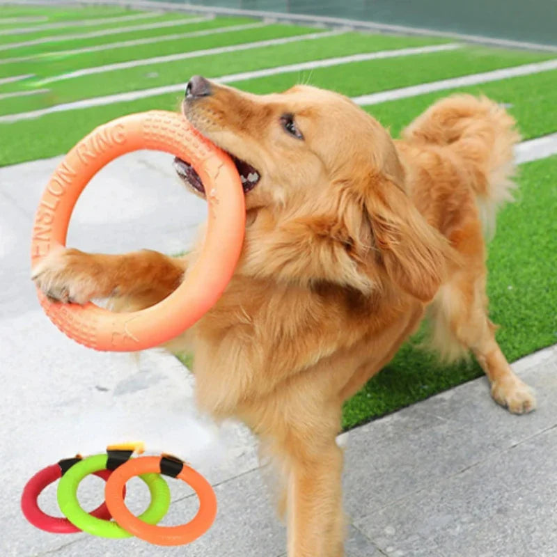 Orange Dog Flying Disc & Training Puller — Durable EVA Chew-Resistant Interactive Toy for Puppies to Large Dogs