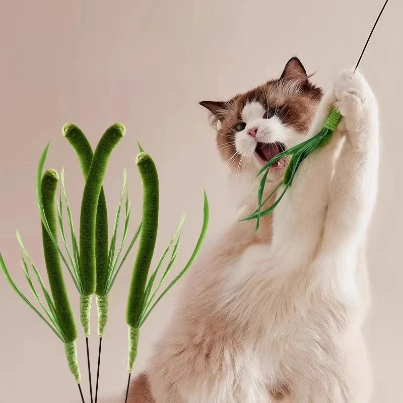 Interactive Feather Wand Cat Toy — 50 cm (19.7 in) Long Pole Teaser Stick with Bite-Resistant Feathers & Rattle Sound for Kittens