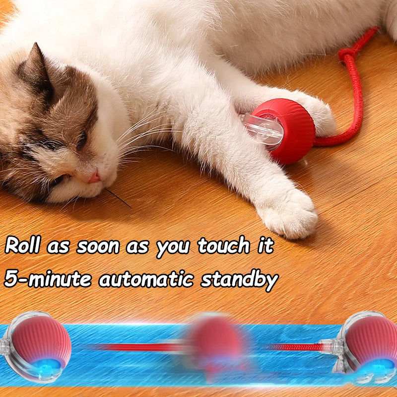 2-Pack Rechargeable Interactive Rolling Cat Ball Toy with Faux Tail — Smart Electric Pet Toy