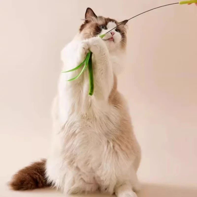 Interactive Feather Wand Cat Toy — 50 cm (19.7 in) Long Pole Teaser Stick with Bite-Resistant Feathers & Rattle Sound for Kittens