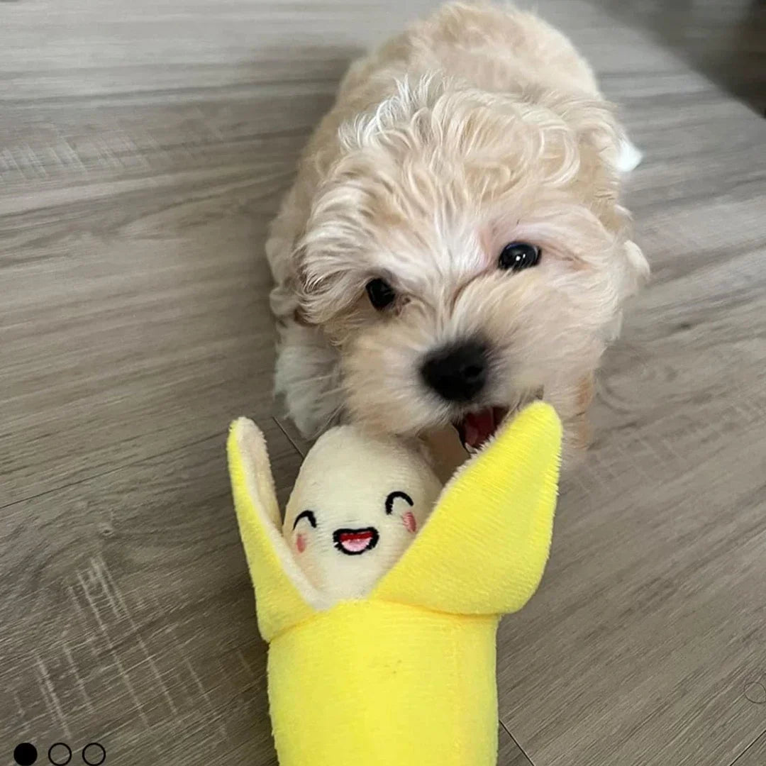 7-Piece Plush Puppy Squeaky Toy Set – Fruit & Vegetable Chew Toys for Dogs