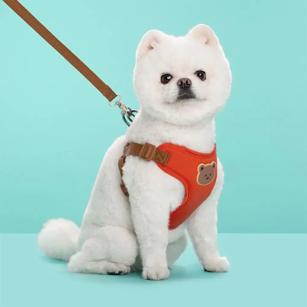 Adjustable No-Pull Pet Harness and Leash Anti-Escape Chest Strap Vest for Small & Medium Dogs and Cats