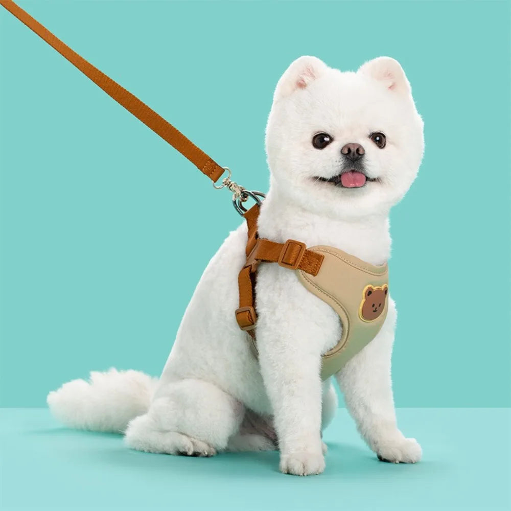 Adjustable No-Pull Pet Harness and Leash Anti-Escape Chest Strap Vest for Small & Medium Dogs and Cats