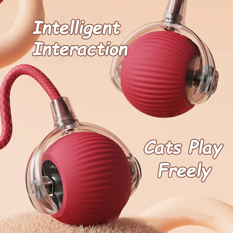 2-Pack Rechargeable Interactive Rolling Cat Ball Toy with Faux Tail — Smart Electric Pet Toy