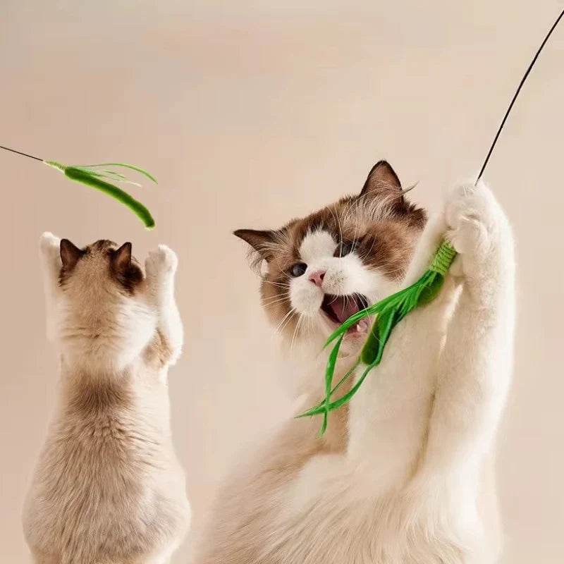 Interactive Feather Wand Cat Toy — 50 cm (19.7 in) Long Pole Teaser Stick with Bite-Resistant Feathers & Rattle Sound for Kittens
