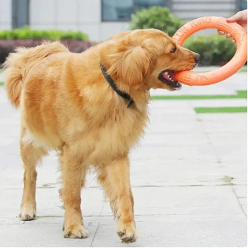 Orange Dog Flying Disc & Training Puller — Durable EVA Chew-Resistant Interactive Toy for Puppies to Large Dogs