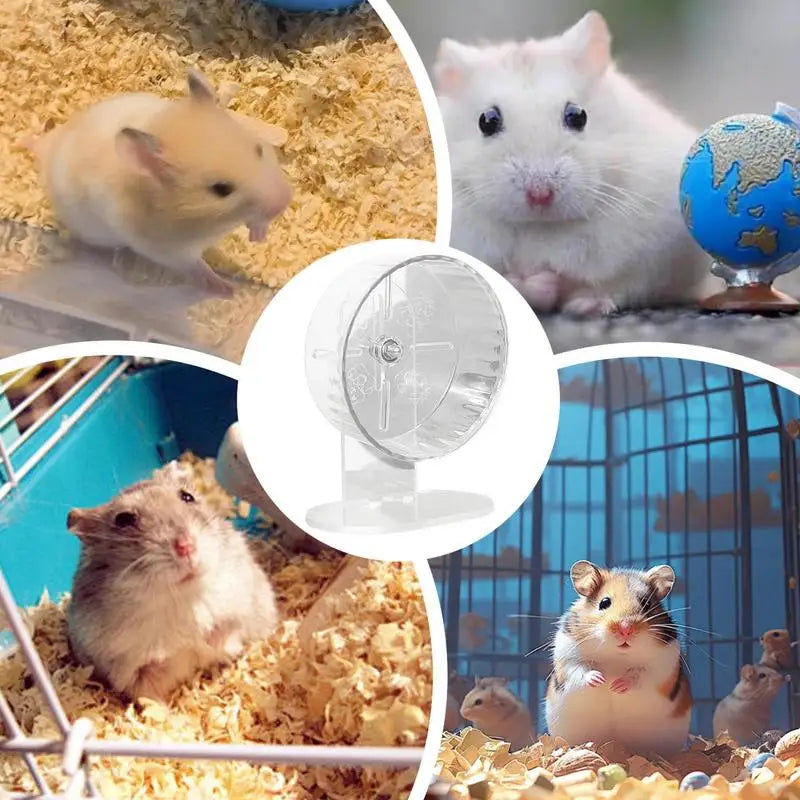 Silent Transparent Hamster Wheel 7.1 in (18 cm) Acrylic Exercise Wheel for Hamsters & Gerbils