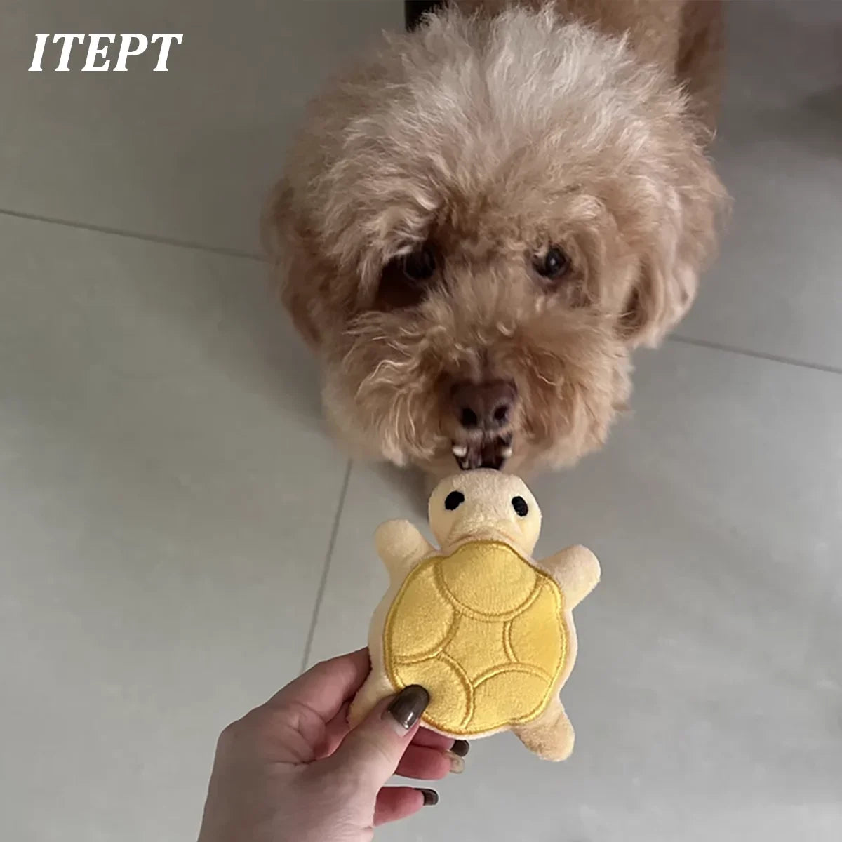 Mini Turtle Plush Dog Toy for Puppies, Teething Relief & Bite-Resistant Dental Chew