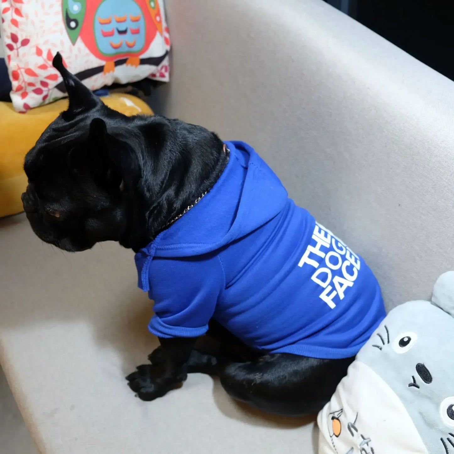 Large Dog Hoodie Autumn Winter Dog Face Text Pattern Jacket for French Bulldog, Labrador