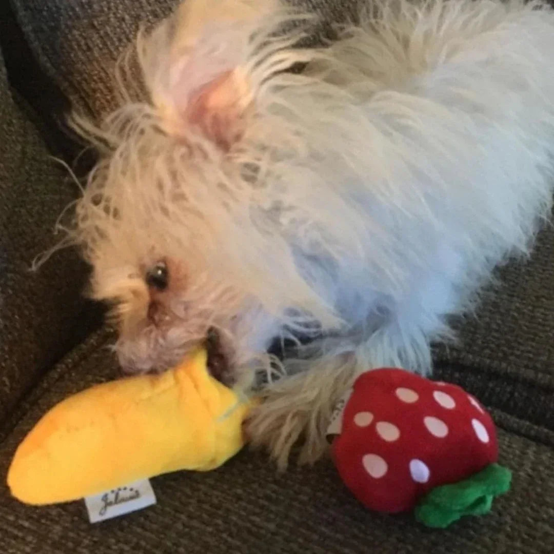 7-Piece Plush Puppy Squeaky Toy Set – Fruit & Vegetable Chew Toys for Dogs