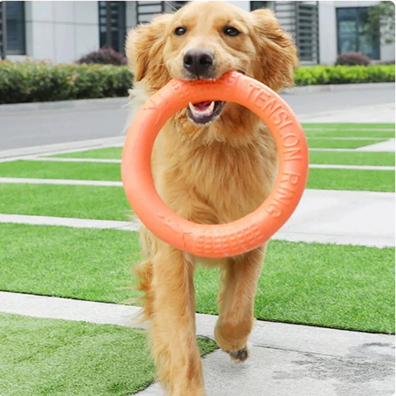 Orange Dog Flying Disc & Training Puller — Durable EVA Chew-Resistant Interactive Toy for Puppies to Large Dogs