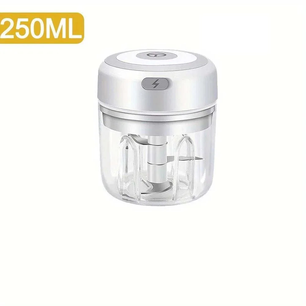 Electric Garlic Chopper & Meat Mincer 100ml/250ml Garlic Press Crusher for Vegetables and Onions