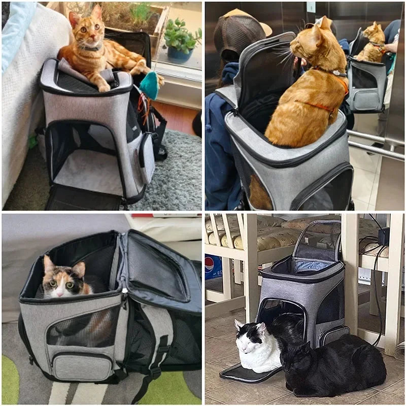 Breathable Foldable Expandable Pet Carrier Backpack for Cats & Small Dogs, Fits Pets up to 6.5 kg (14.3 lb)