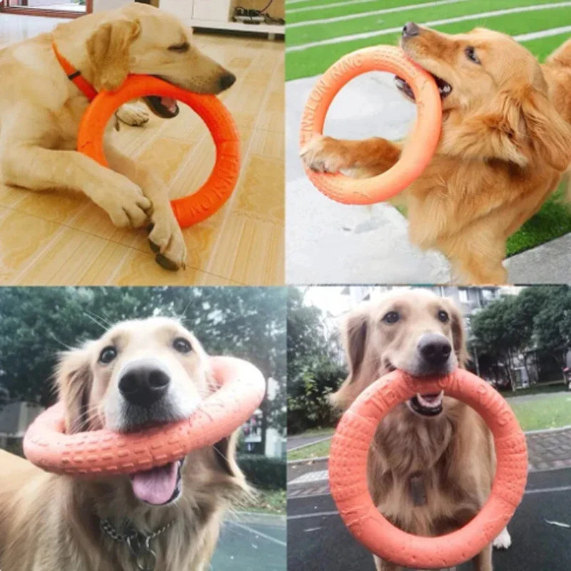 Orange Dog Flying Disc & Training Puller — Durable EVA Chew-Resistant Interactive Toy for Puppies to Large Dogs